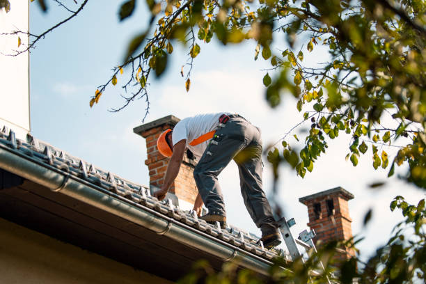 Quick and Trustworthy Emergency Roof Repair Services in Grand Junction, CO